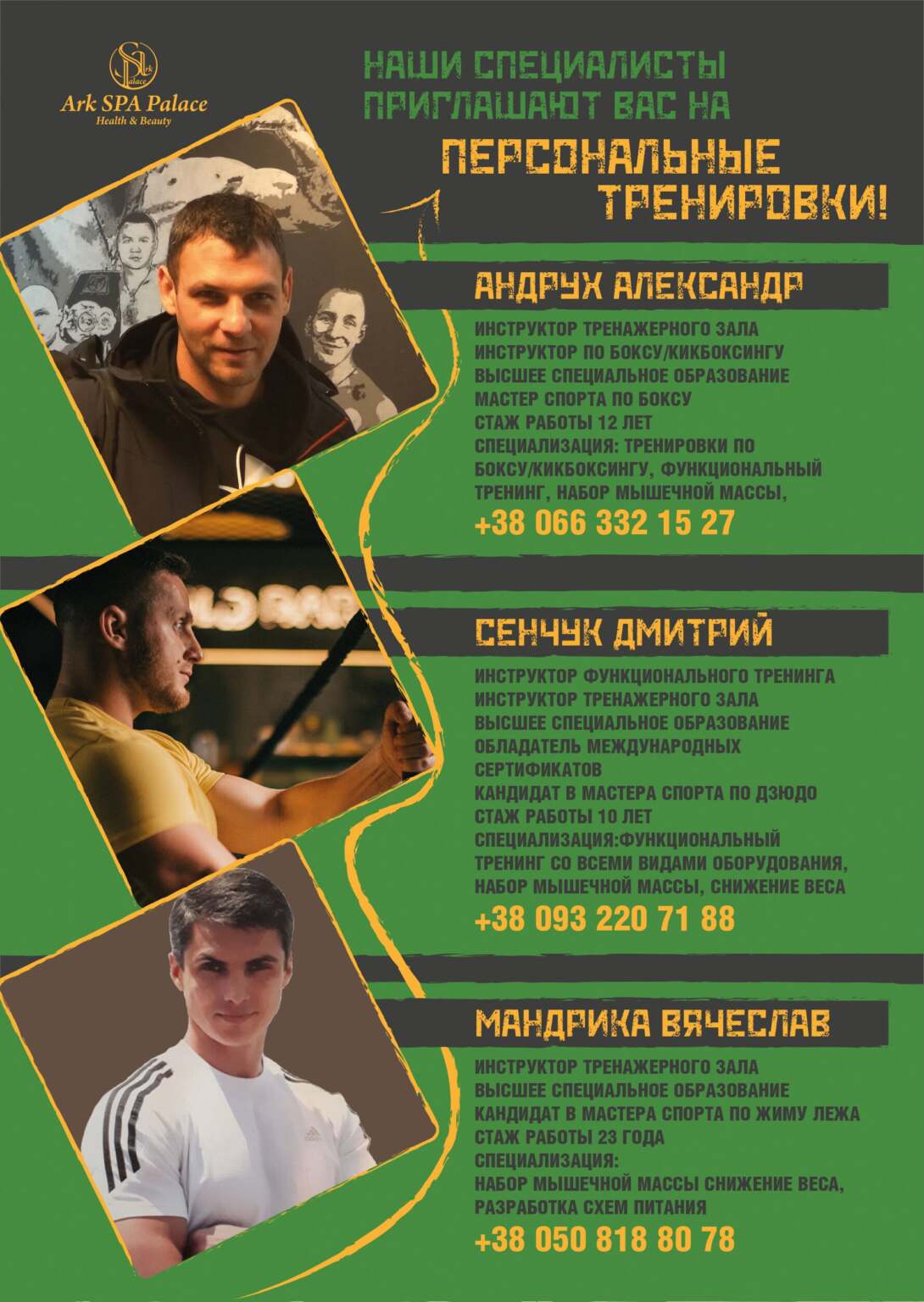 Наш тренерский состав
